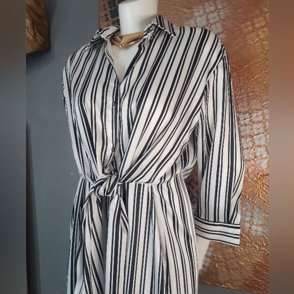 Zara Striped Black and White Women's Midi Dress - Picture 12 of 14